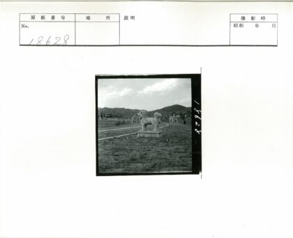石狮雕像山间小路风景.jpg
