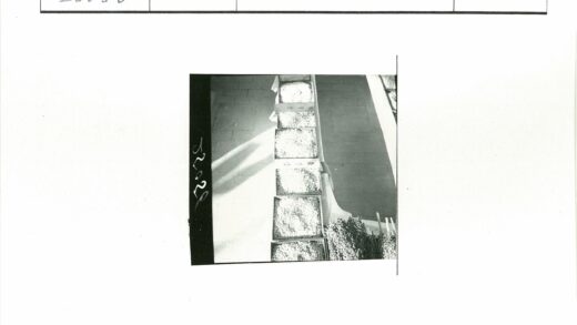 石瓦小路与灌木丛.jpg