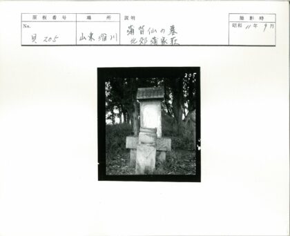 石砌建筑绿树环绕人景.jpg