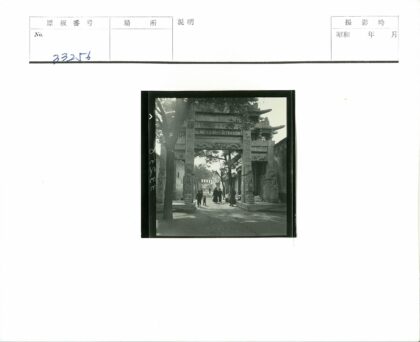 石砌拱门下繁华街景行人树木.jpg