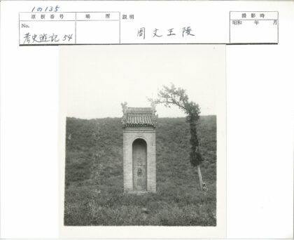 石碑与古树草地景观.jpg