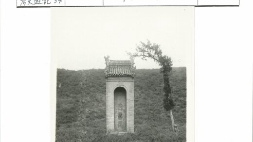 石碑与古树草地景观.jpg