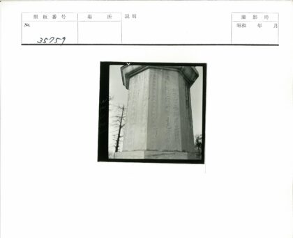 石碑铭文与枯树晴空.jpg