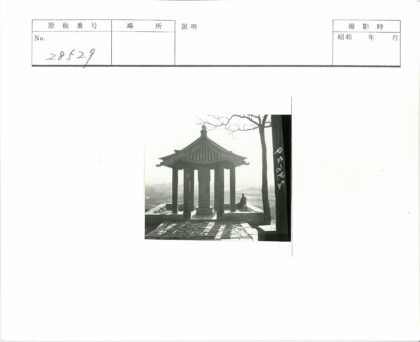 石路亭影与树枝背景.jpg