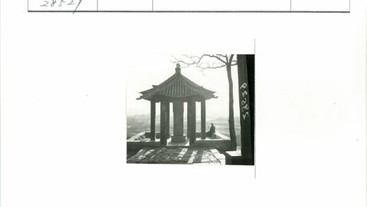 石路亭影与树枝背景.jpg