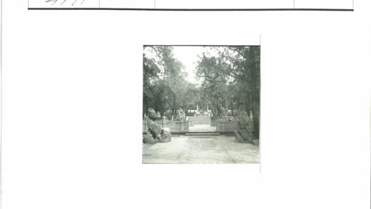 石阶古树雕栏林荫道.jpg