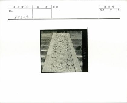 石阶龙纹石雕板草木背景.jpg