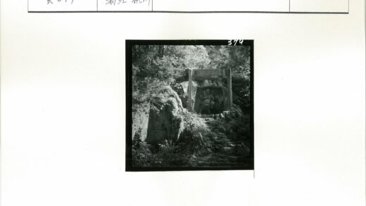 石雕嵌于密林岩壁.jpg