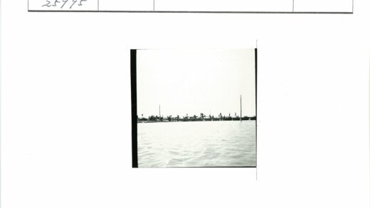 码头人群与水域背景.jpg