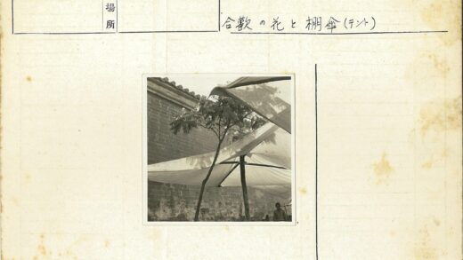 砖墙前大树与人覆盖布.jpg