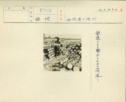 砖墙前陶罐摆放场景.jpg