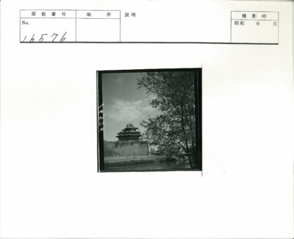 砖墙古树水景建筑倒影.jpg