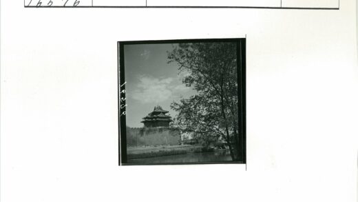 砖墙古树水景建筑倒影.jpg