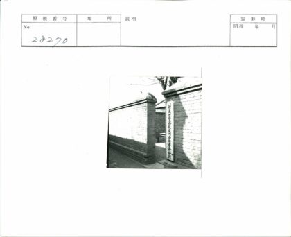 砖墙小巷与枯树街景.jpg