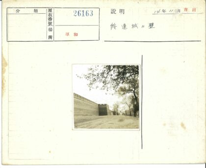 砖墙小路枯树远影.jpg