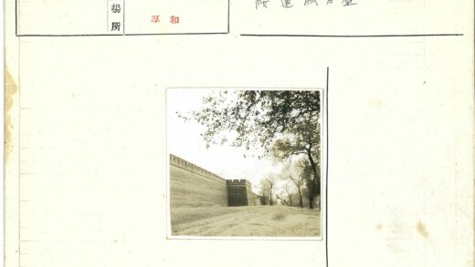 砖墙小路枯树远影.jpg