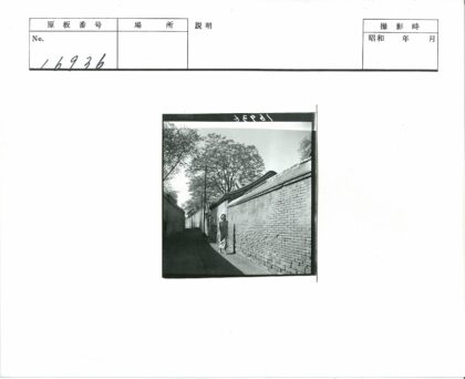 砖墙小路绿树成荫.jpg