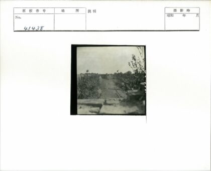 砖墙绿径历史遗迹景观.jpg
