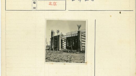 砖房前院绿树户外景.jpg