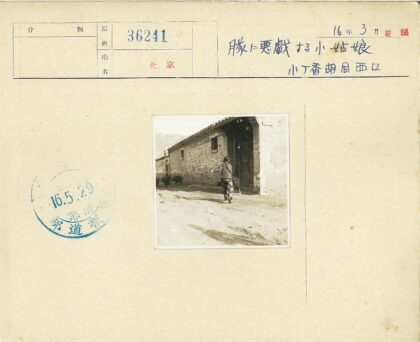砖房土路与游荡的猪.jpg