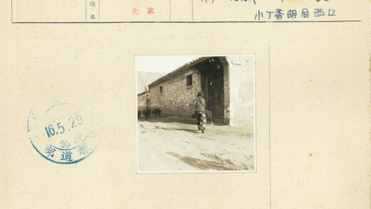 砖房土路与游荡的猪.jpg