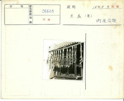 砖房外动物尸体与窗台陈列.jpg