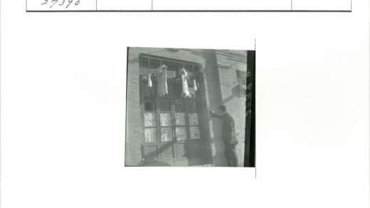砖房旁人与动物尸体老窗景.jpg
