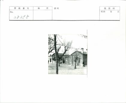 砖房旁冬日树下人物场景.jpg