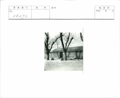 砖房波纹金属屋顶与枯树阴影.jpg