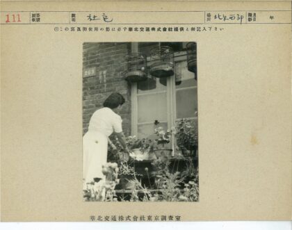 砖房窗前花园照料盆栽.jpg