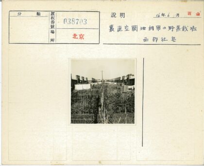 砖房花园晾衣生活场景.jpg