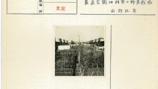 砖房花园晾衣生活场景.jpg