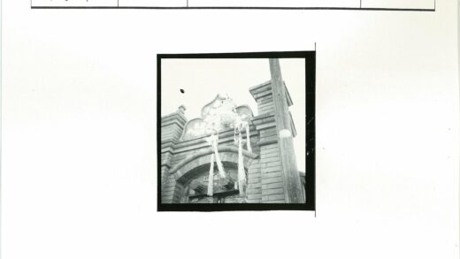 砖砌建筑外立面与花卉装饰.jpg