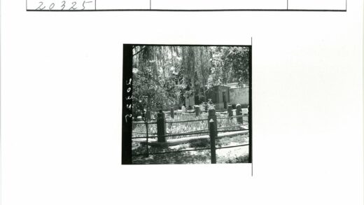 砖砌建筑花园绿荫散步.jpg