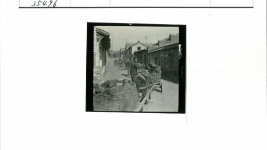 砖砌街道驴车运输场景.jpg