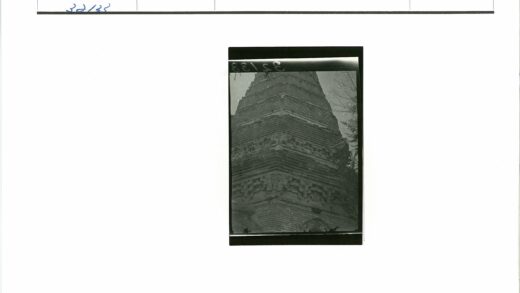 砖结构建筑细节与自然枝叶.jpg