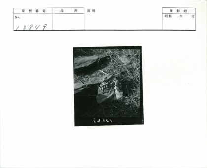 破碎石雕与岩层草地.jpg