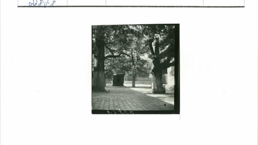 神社鹅卵石小径大树环绕.jpg
