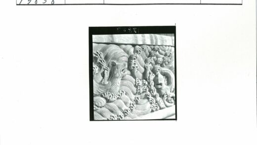 神秘生物与漩涡石雕.jpg
