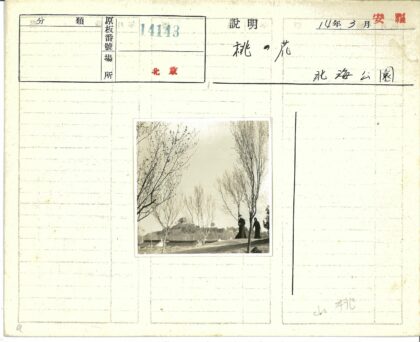 秋日小路与山景.jpg
