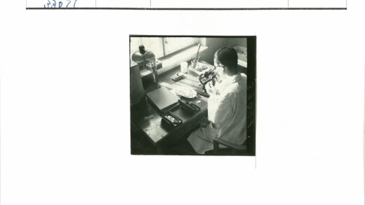科学家实验室显微镜研究场景.jpg