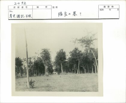 稀疏草地与茂密树木黑白照.jpg