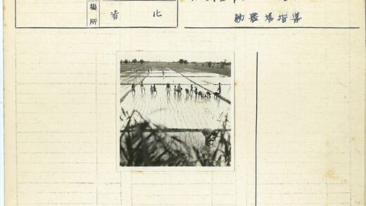 稻田劳作与绿色景观.jpg