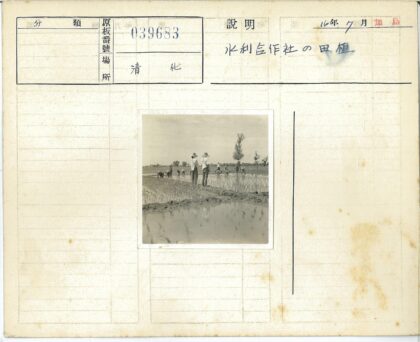 稻田劳作与观察种植场景.jpg