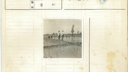 稻田劳作与观察种植场景.jpg