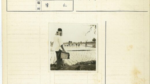 稻田边提篮观农人劳作.jpg