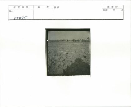 空旷田野上的人群.jpg