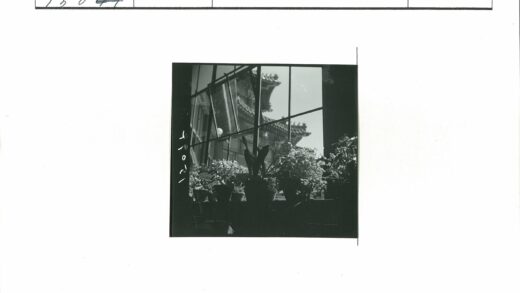 窗前盆栽与华丽建筑剪影.jpg