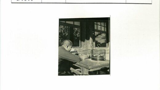 窗前观鸟人木凳静思.jpg