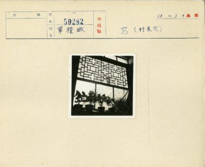 窗纱映衬室内盆栽剪影.jpg
